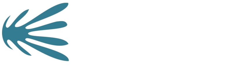 Unleash Networks Logo